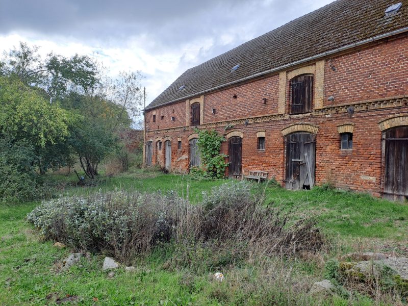 Hof-Blick Westen, Stall